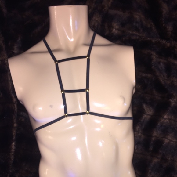 Harness - Picture 2 of 6